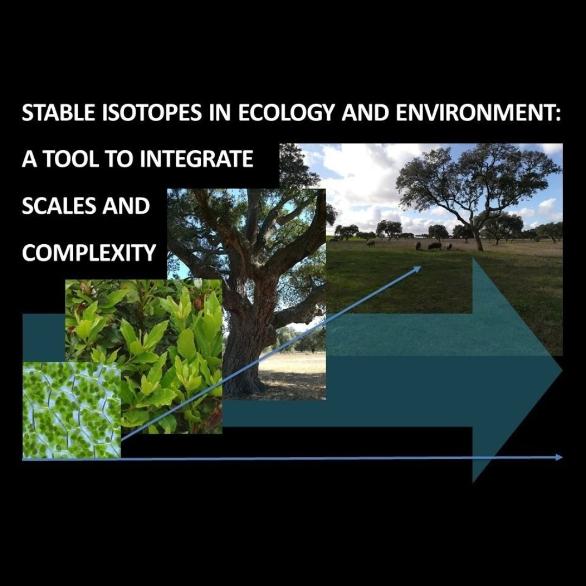 Stable isotopes 22-23